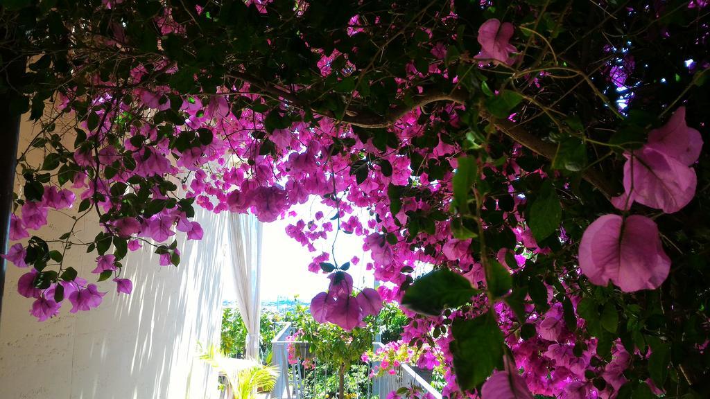 Dreams Guest House La Spezia Exterior foto